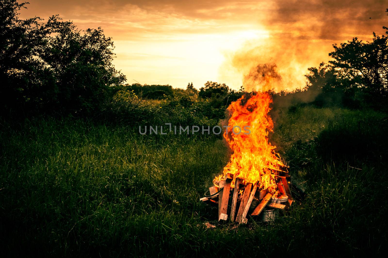 Bonfire at a camp in natural surroundings