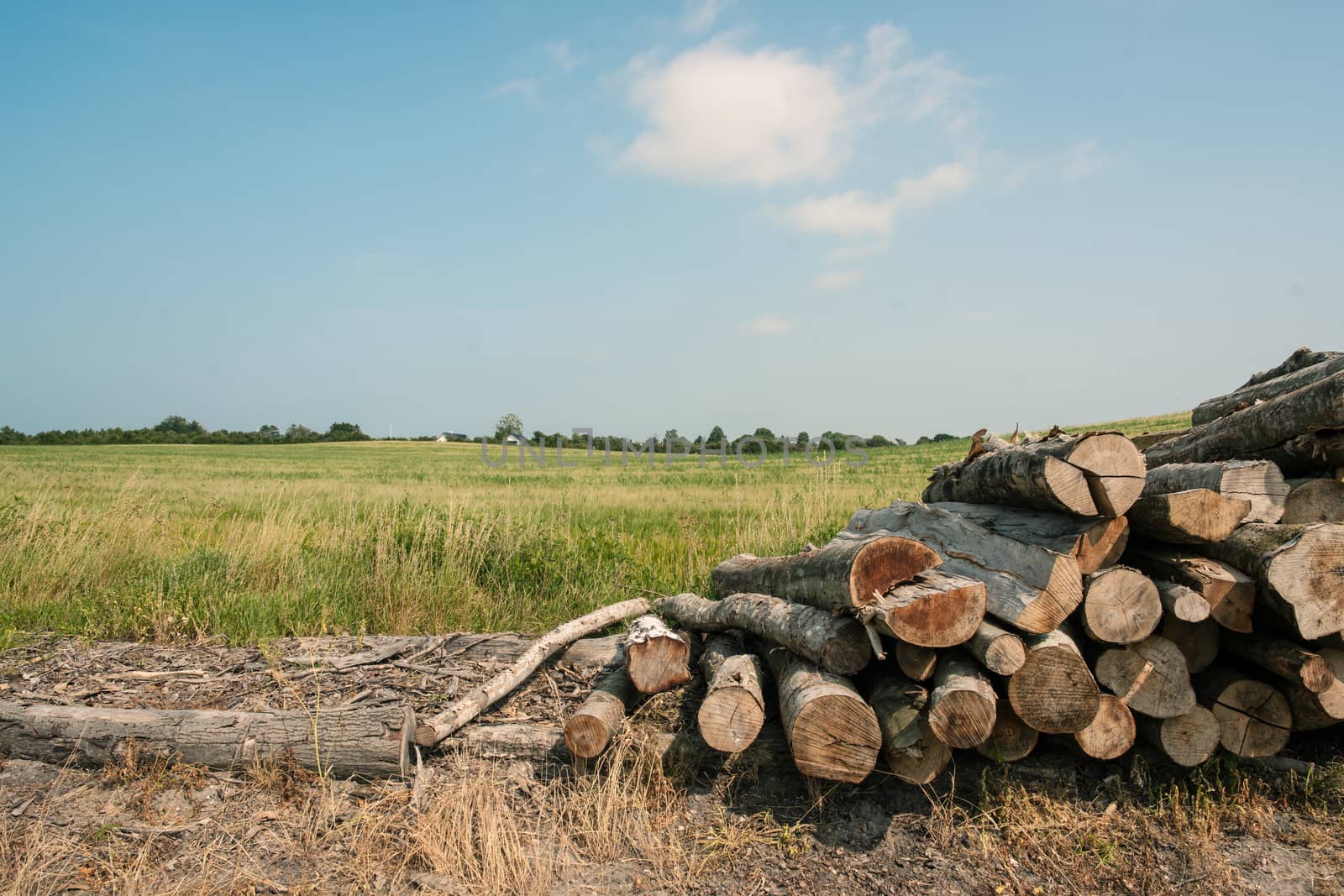 Countryside landscape with a pile of wood
