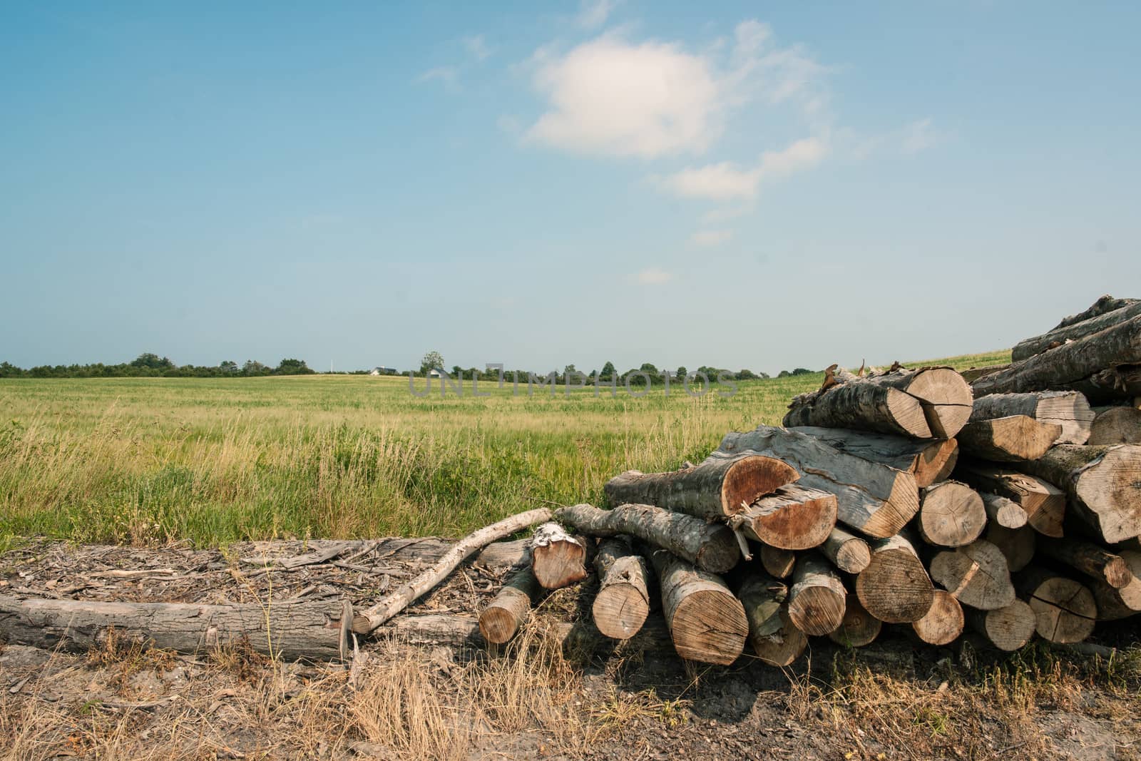 Pile of wood by Sportactive