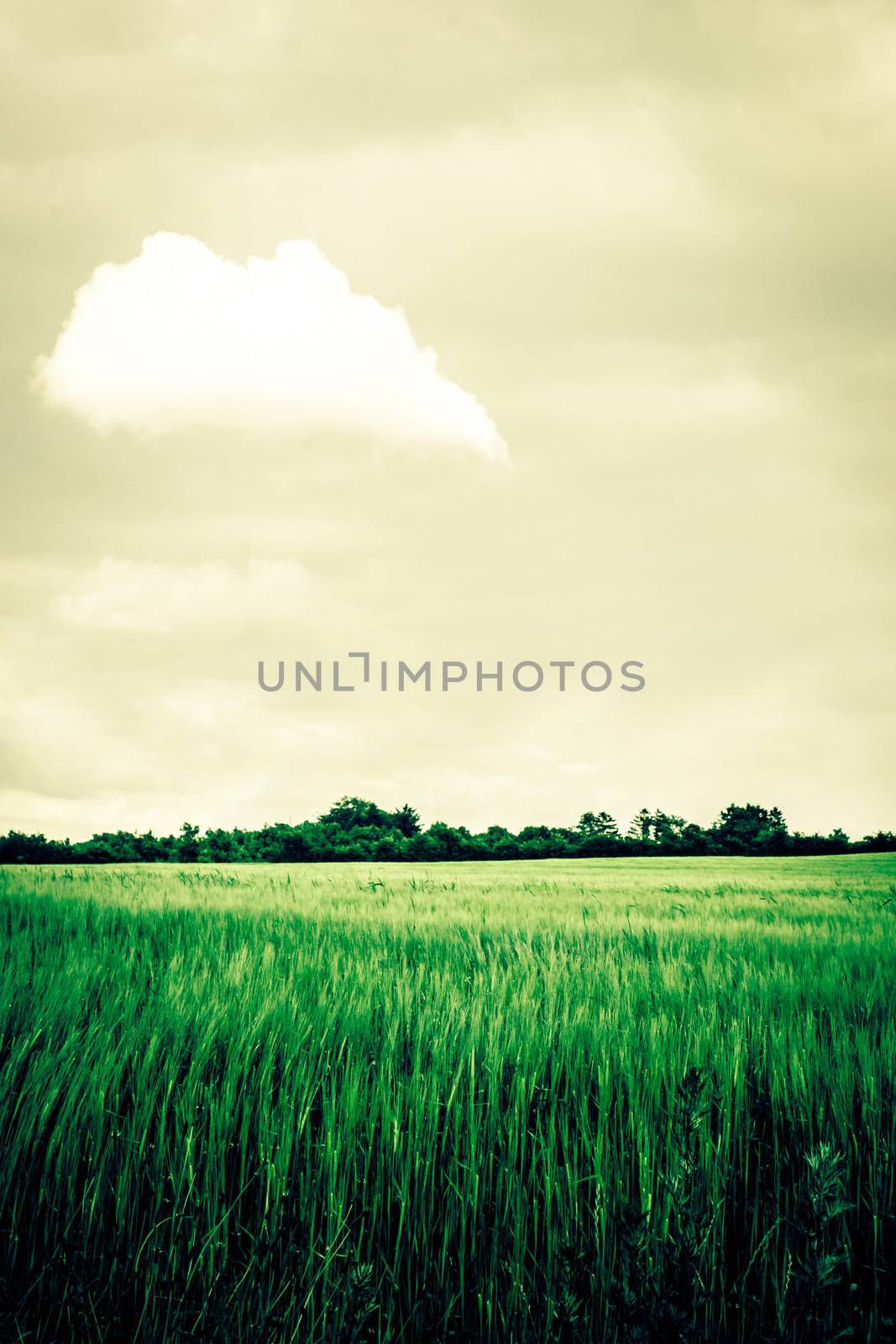 Countryside scenery by Sportactive