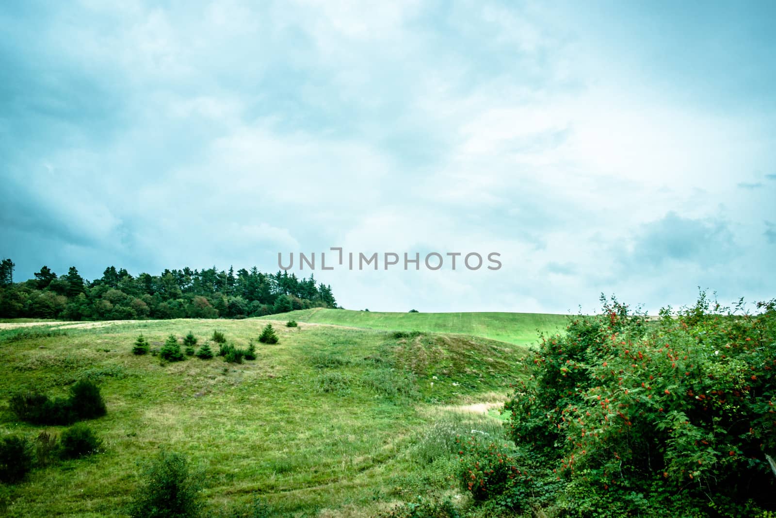 Green fields with cloudy weather and blue sky