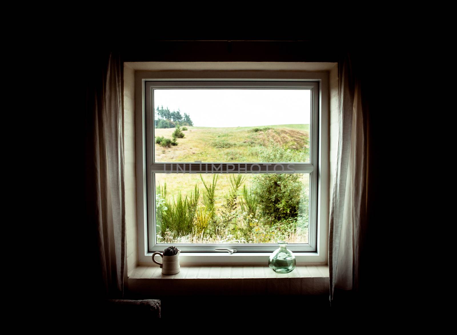 Window with a view to the nature