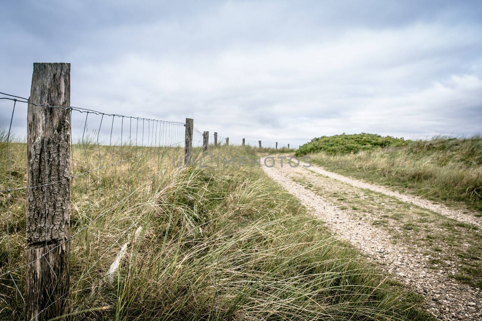 Nature path surrounded by grass and a fence