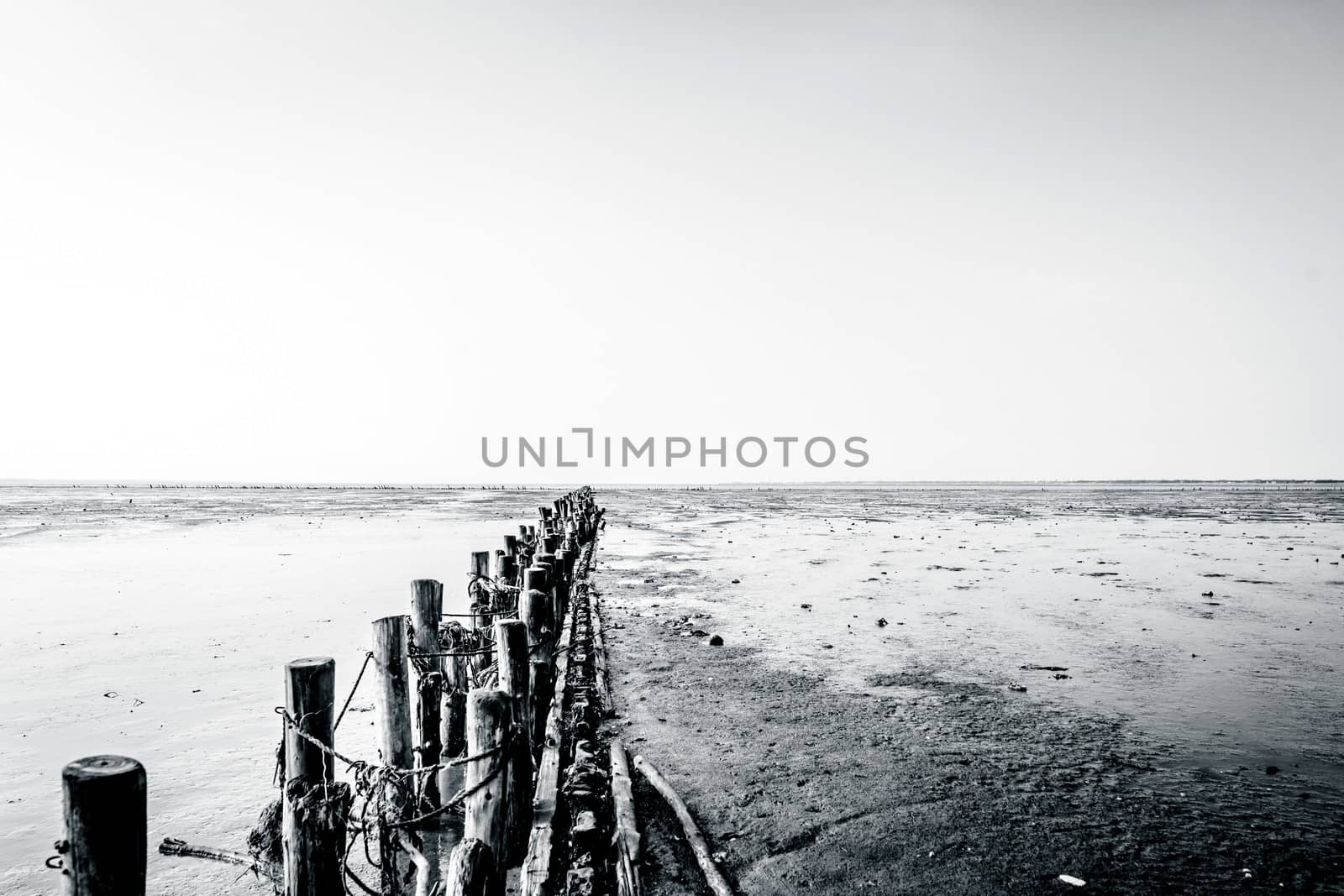 Wooden poles on a low tide beach