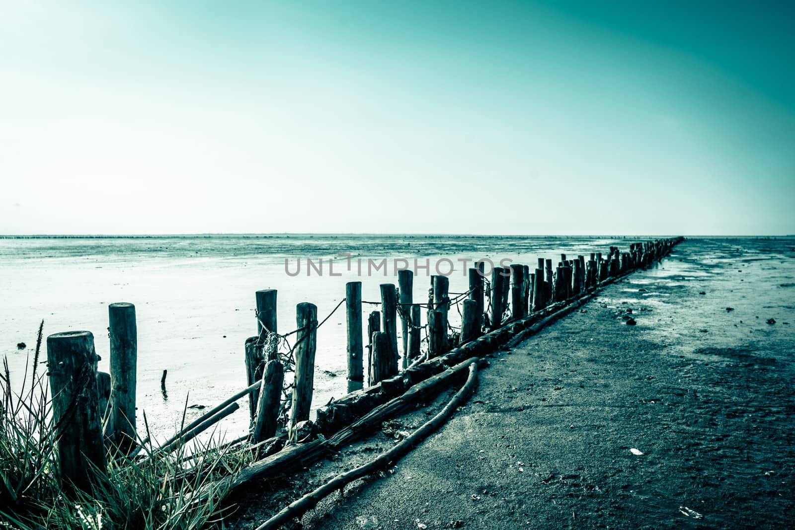 Wooden poles on a low tide beach