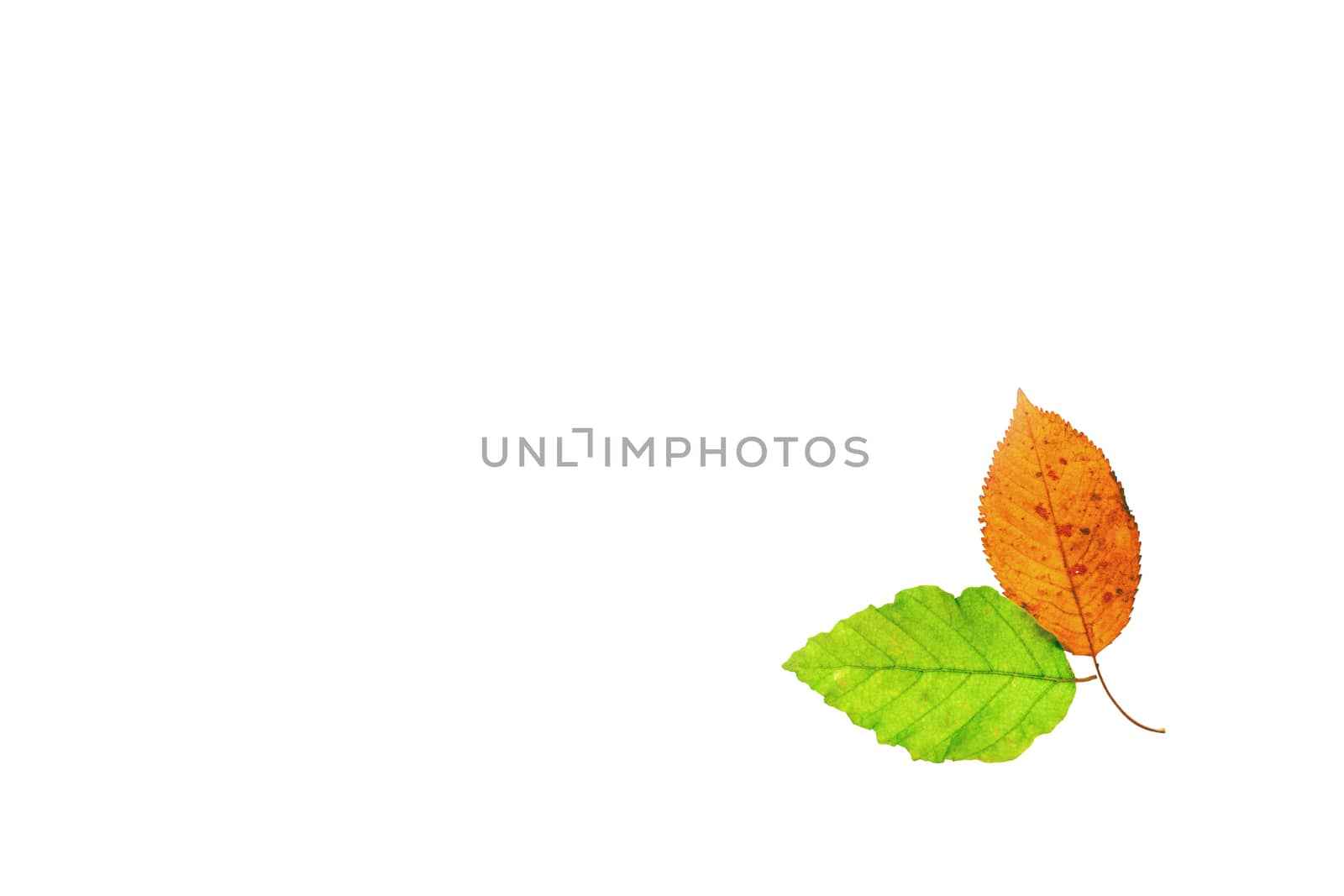 Spring and autumn by Sportactive