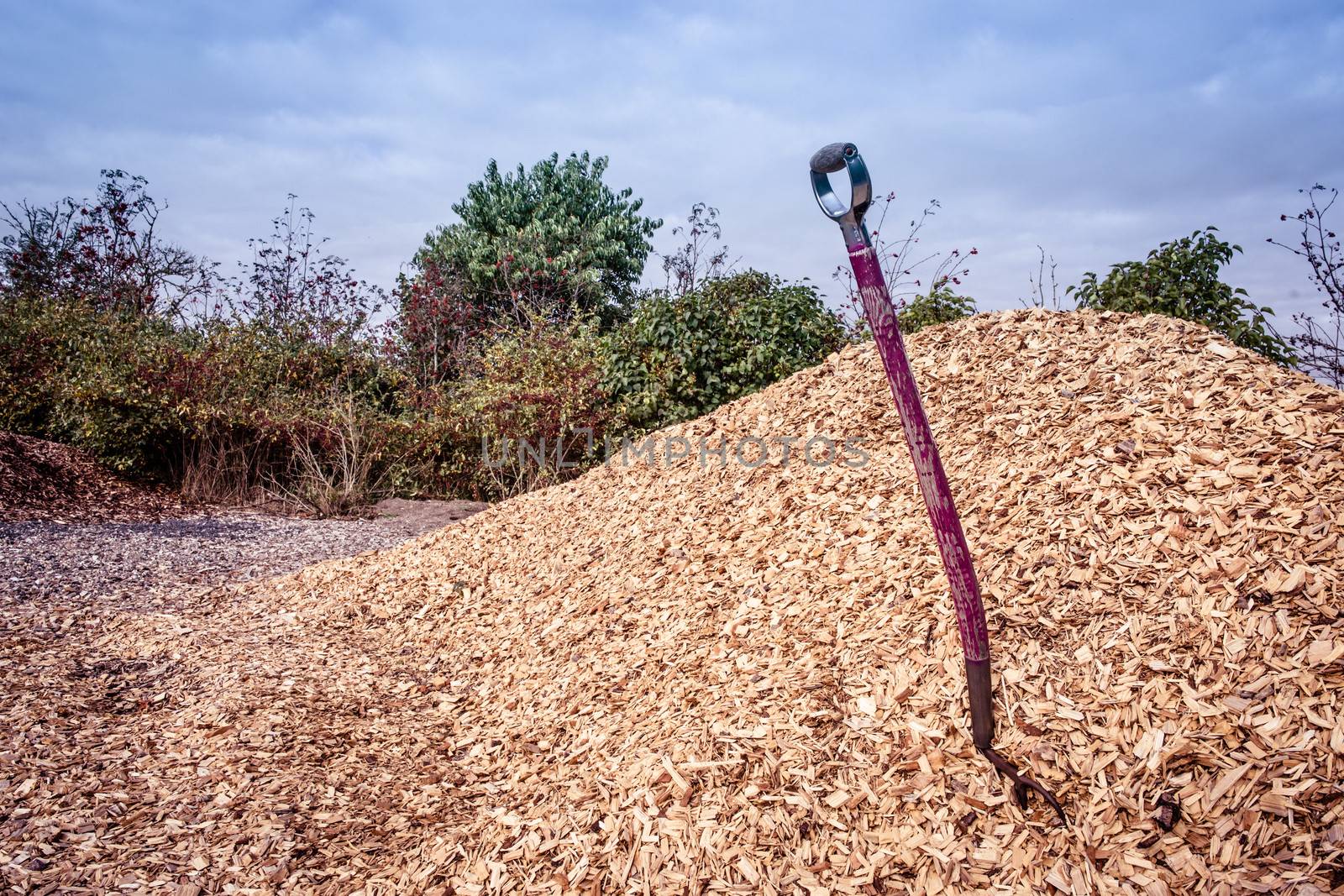 Shovel in mulch by Sportactive