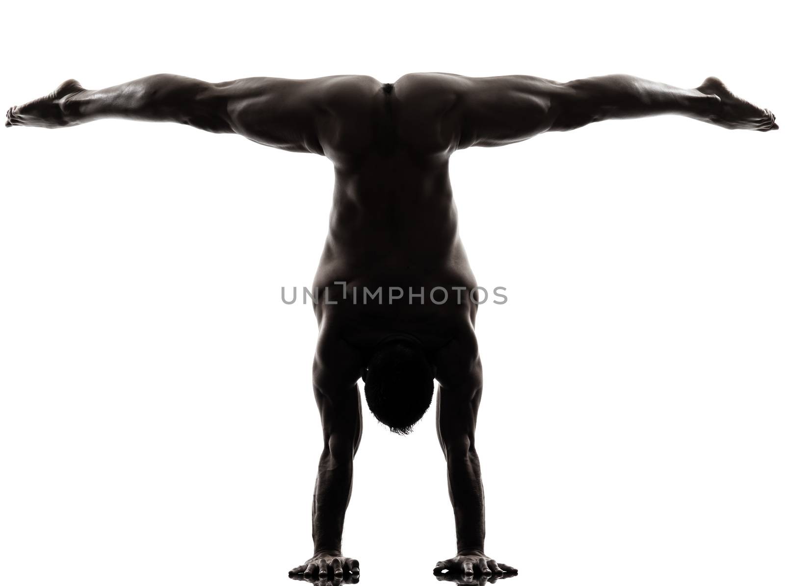 one caucasian handsome naked muscular man exercising handstand in silhouette studio on white background