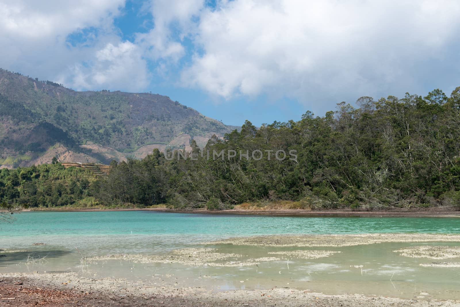 Volcanic colorful lake (Telaga Warna) on Dieng plateau, Java, Indonesia