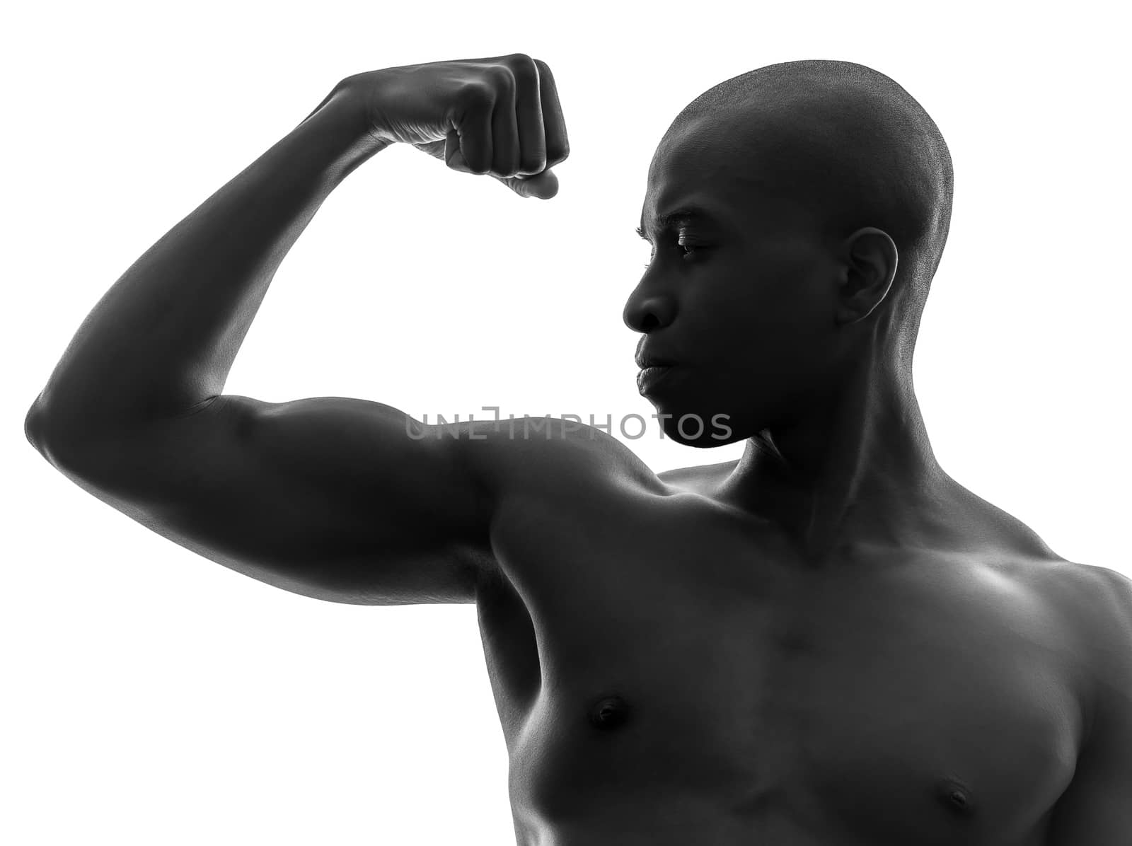 one african  black man flexing muscle  in silhouette studio on white background