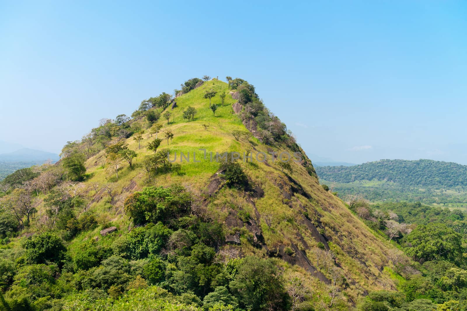 Tropical landscape with hill under blue sky, Dambulla, Sri Lanka 