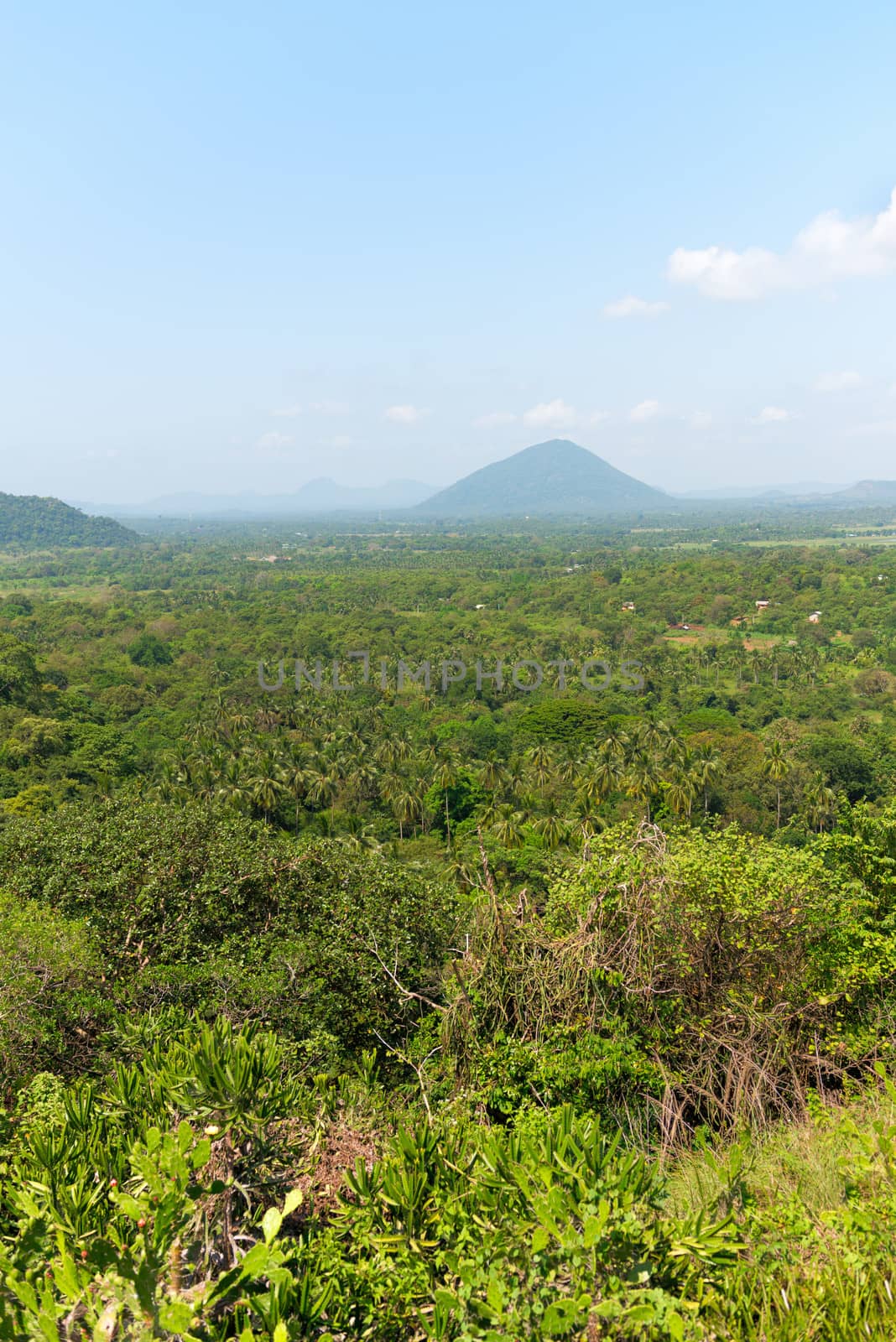Tropical landscape with hill and mountain under blue sky, Dambulla, Sri Lanka 