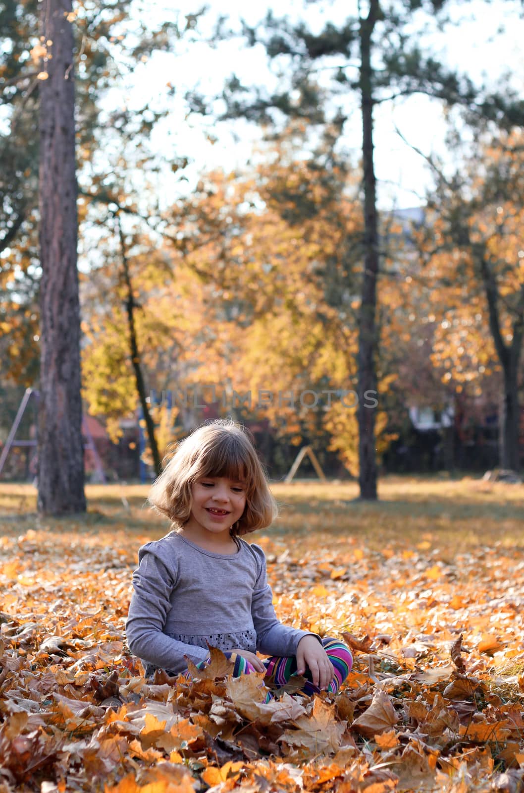 beautiful little girl sitting on autumn leaves