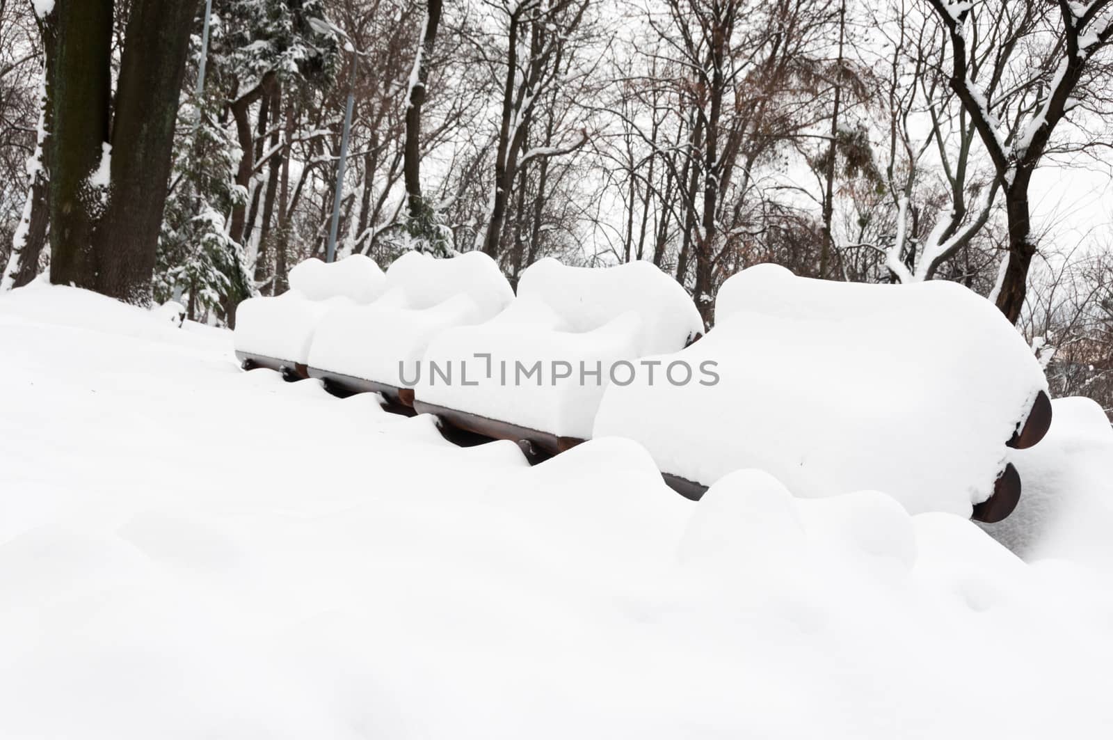 Snow winter in a park by iryna_rasko