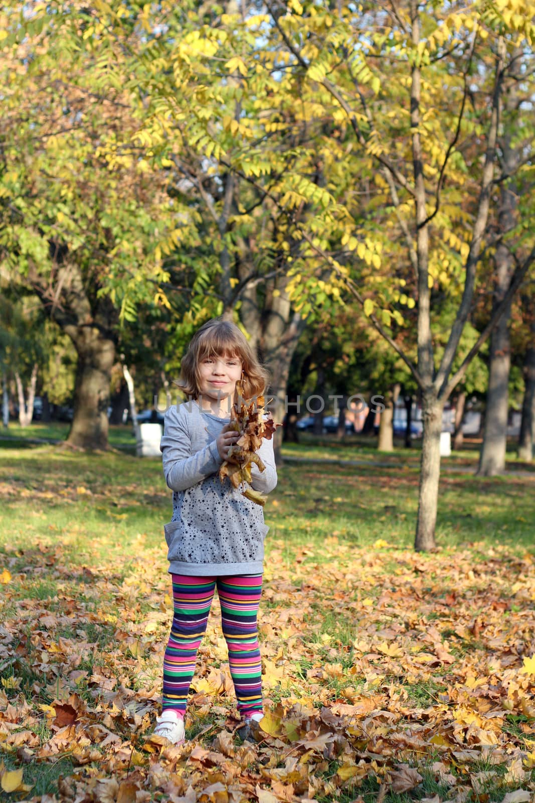 little girl holding autumn leaves by goce