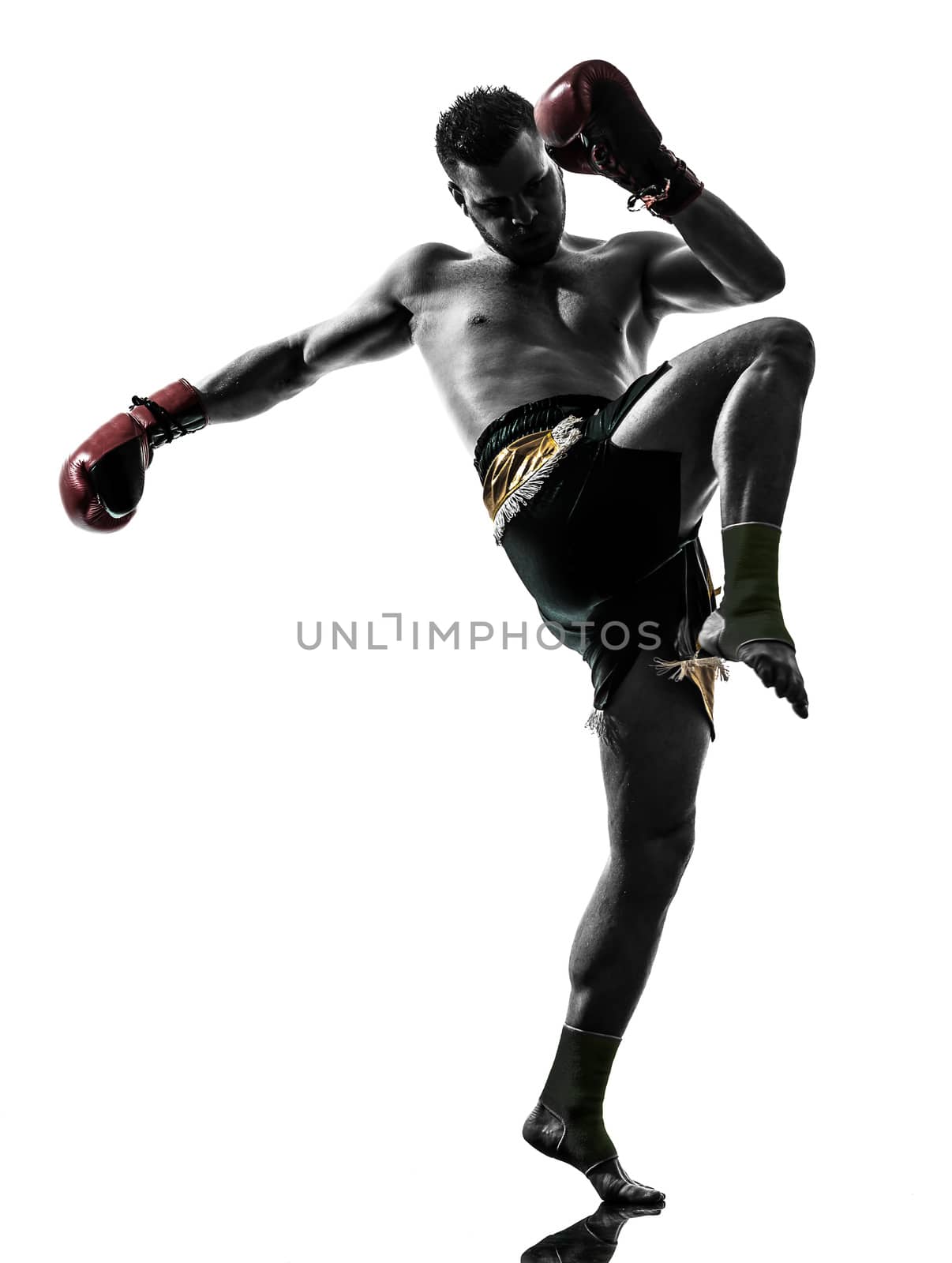 one caucasian man exercising thai boxing in silhouette studio  on white background