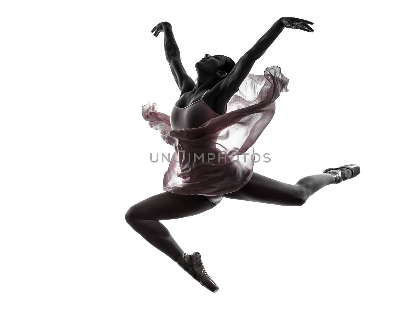 one  woman   ballerina ballet dancer dancing in silhouette on white background
