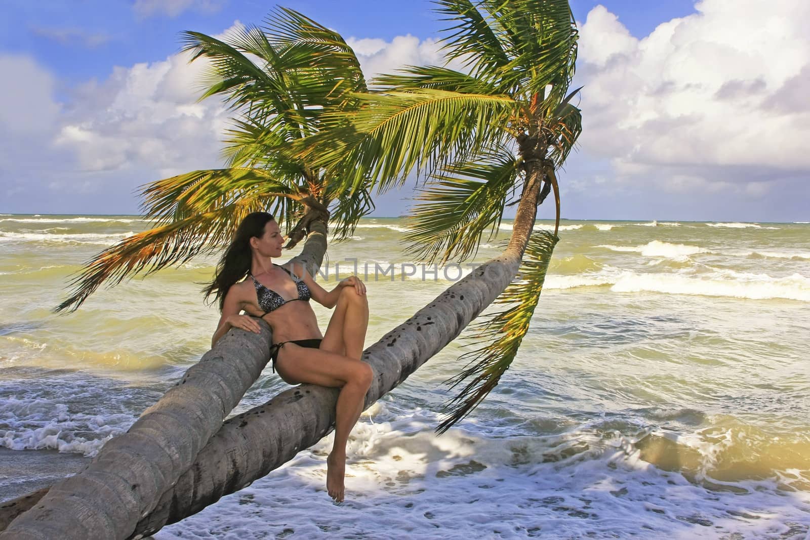 Young woman in bikini sitting on palm trees by donya_nedomam