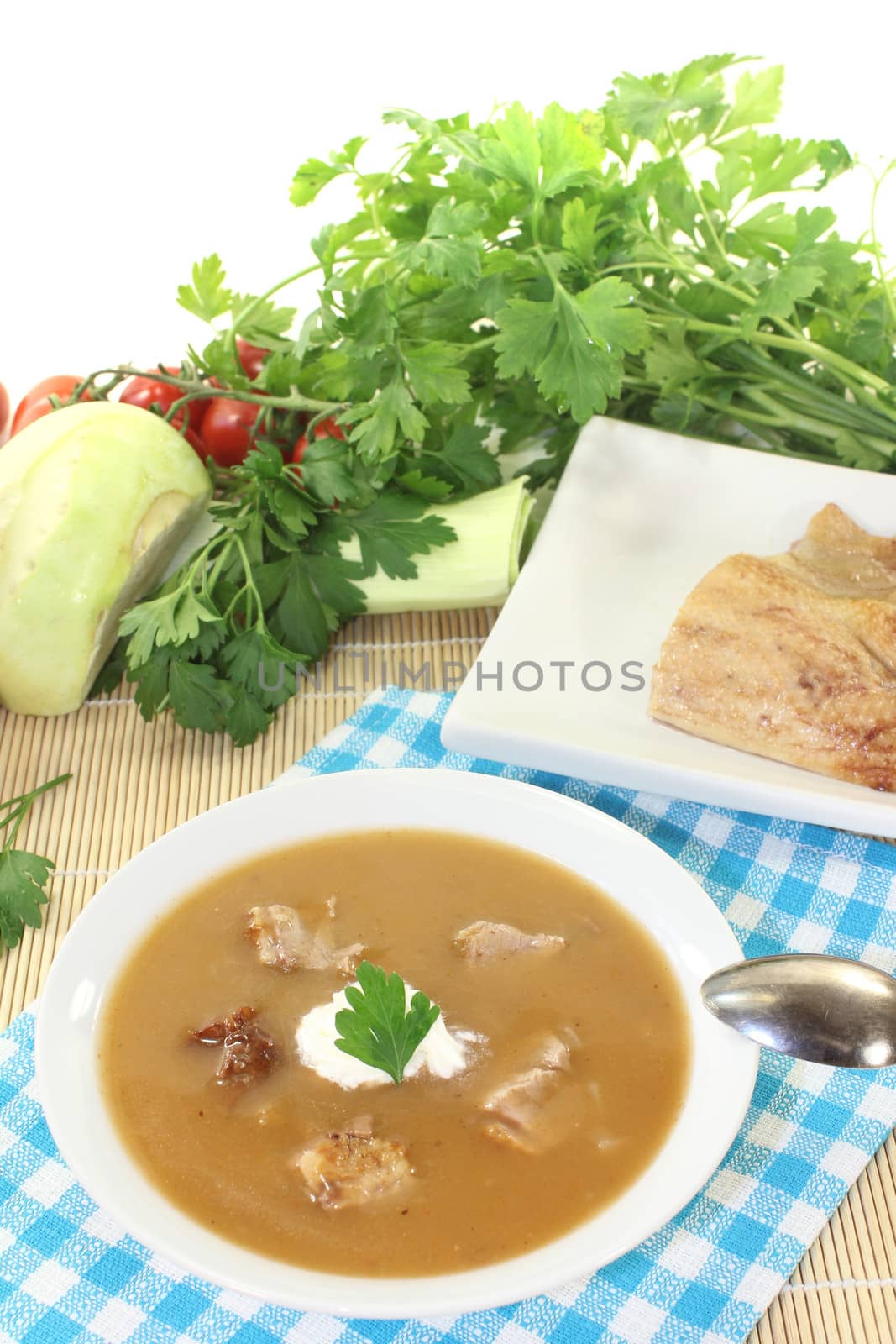 delicious duck soup on a light background