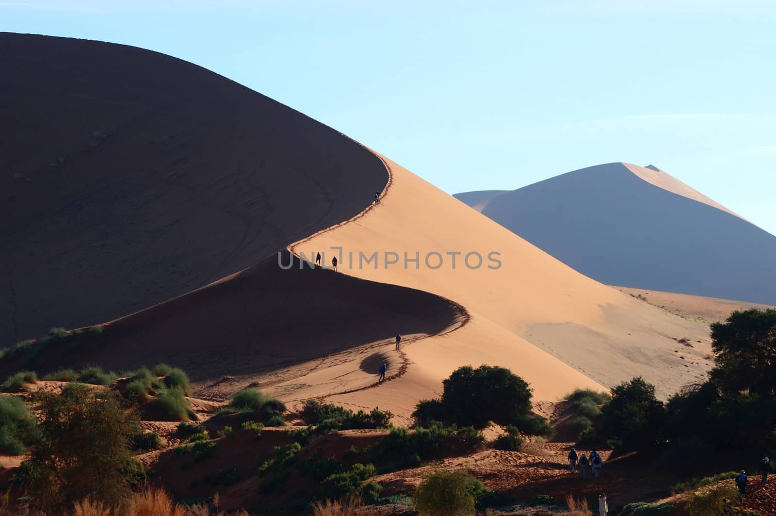 S-shaped dune next to Sossusvlei in Namibia 