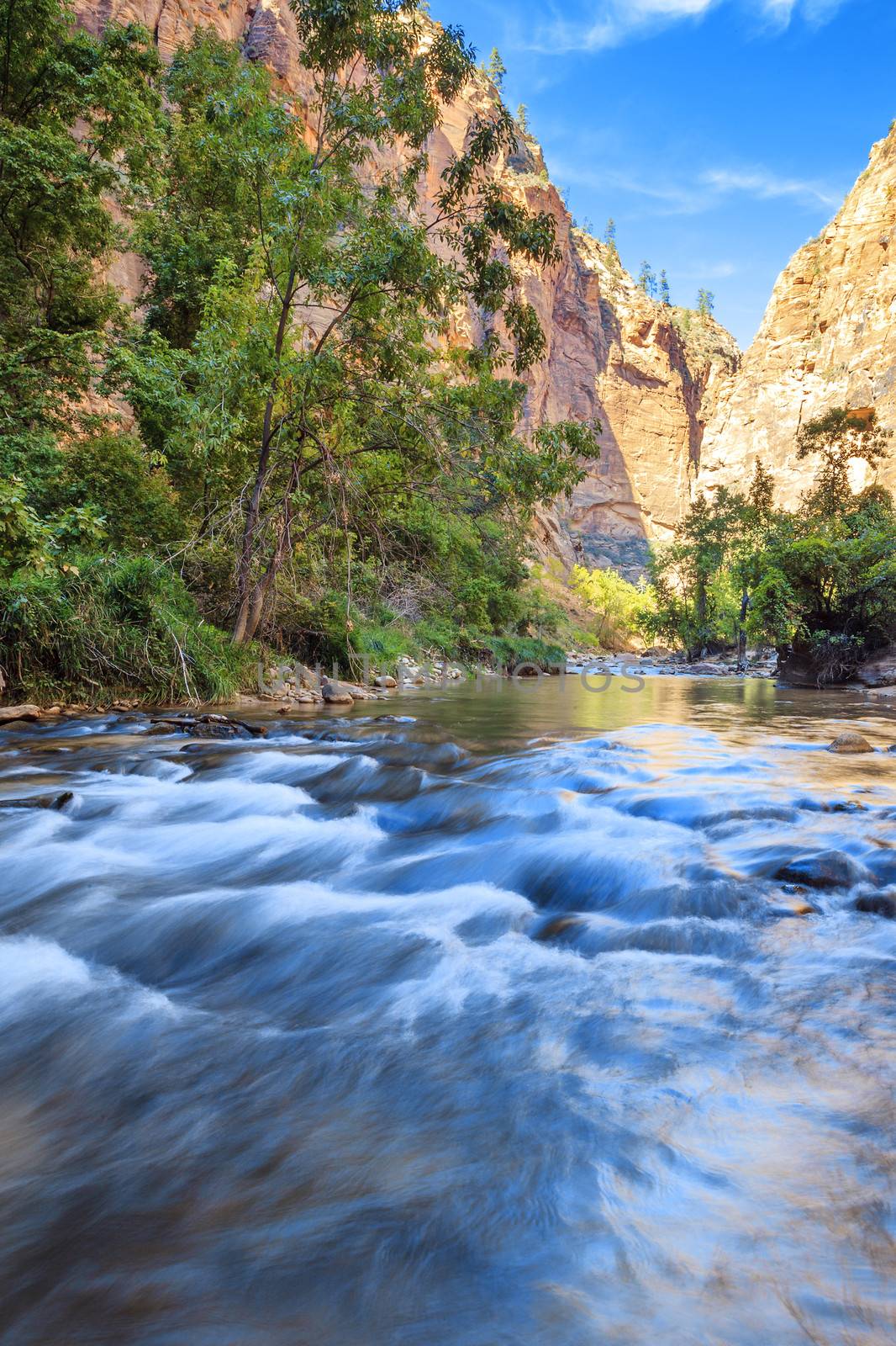 Shallow rapids of the Virgin River Narrows in Zion National Park - Utah 