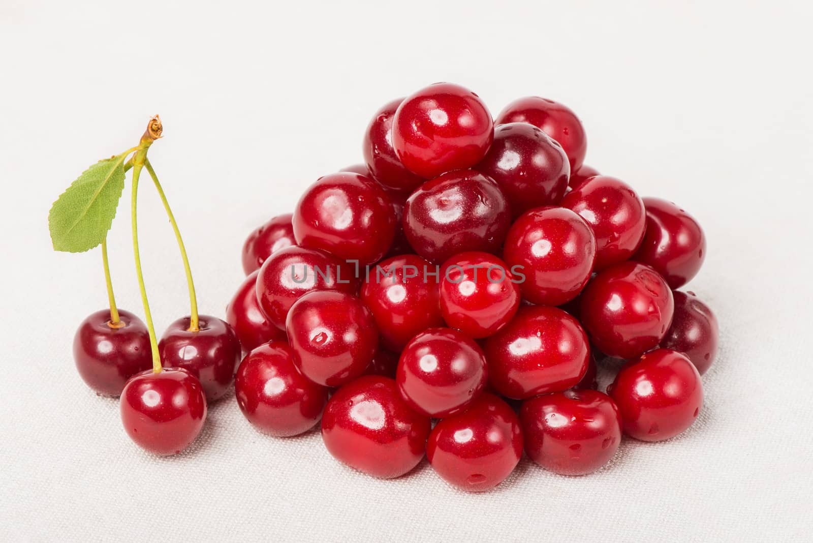Sweet cherries with water drops 