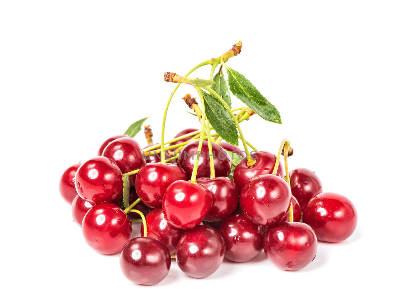 Sweet juicy cherry on white background by Draw05