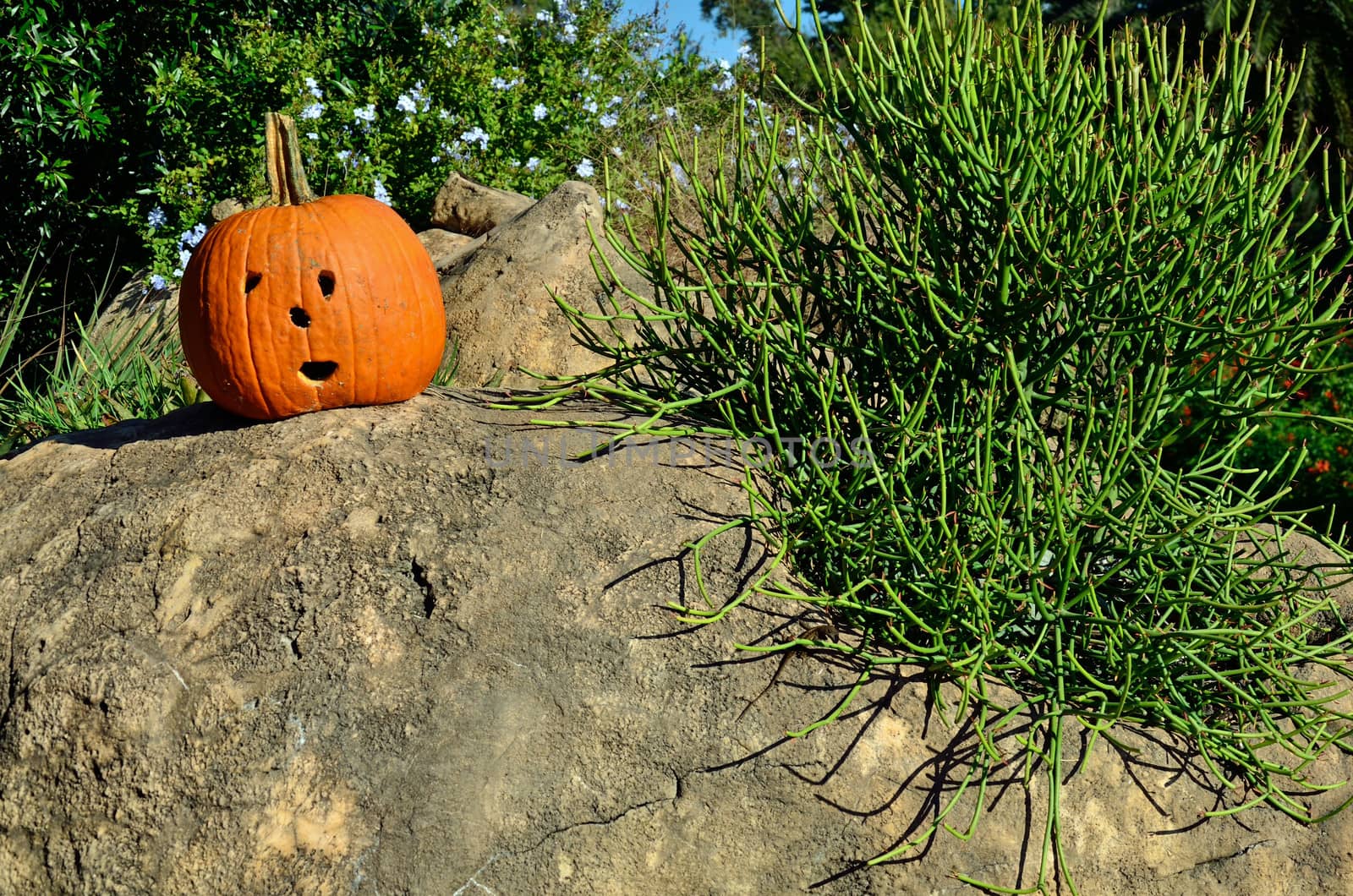 A jack-o-lantern sitting on a boulder appears to be surprised to find himself there.