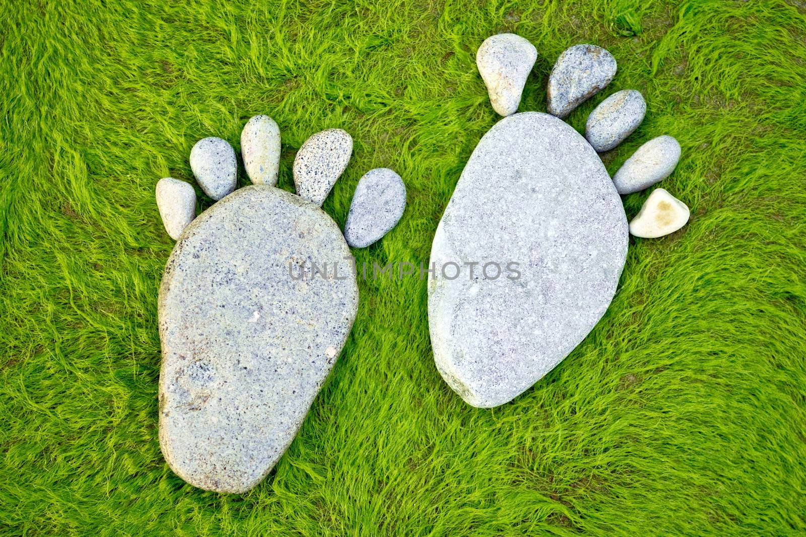 Footsteps of pebbles on the green algae