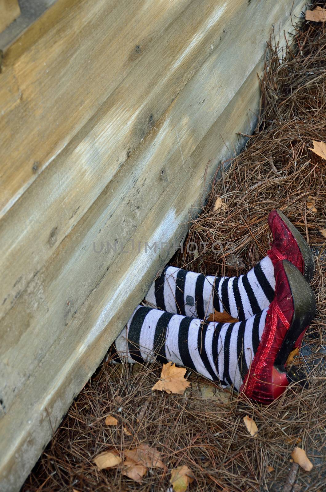A house appears to have fallen on a witch whose wearing striped stockings and red slippers