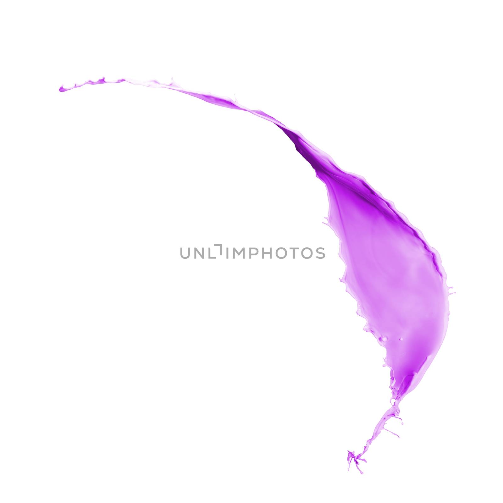 purple paint splash isolated on white background