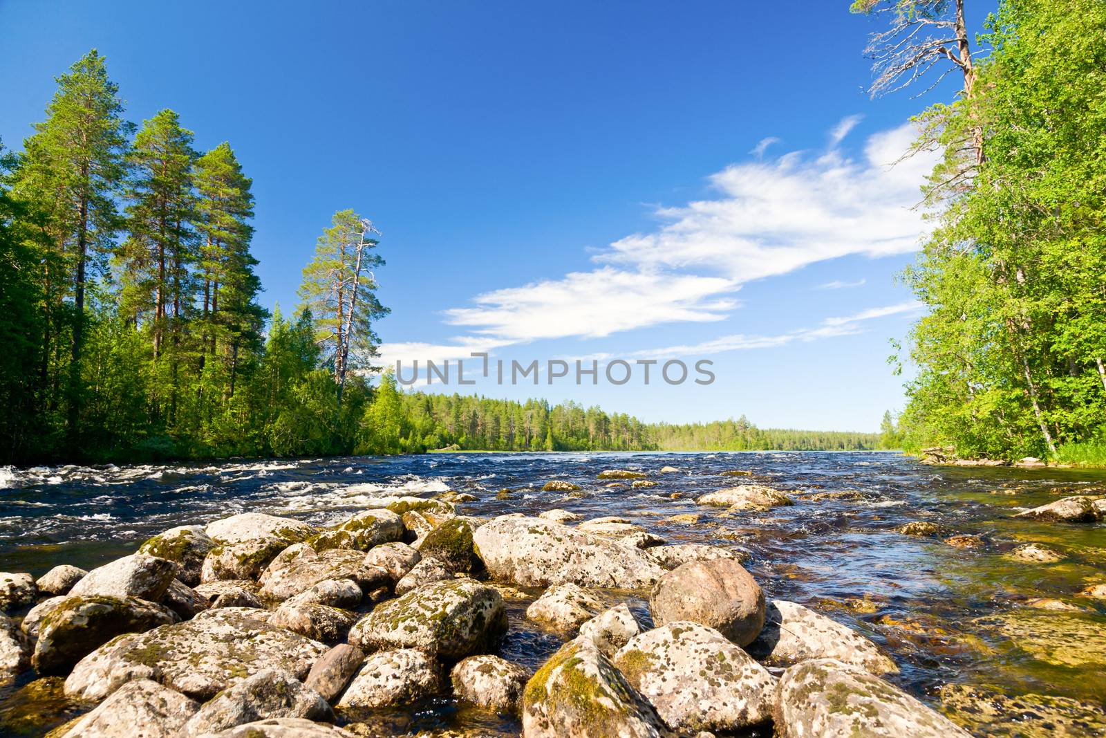 Rapids on the Pistojoki river in Karelia, Russia