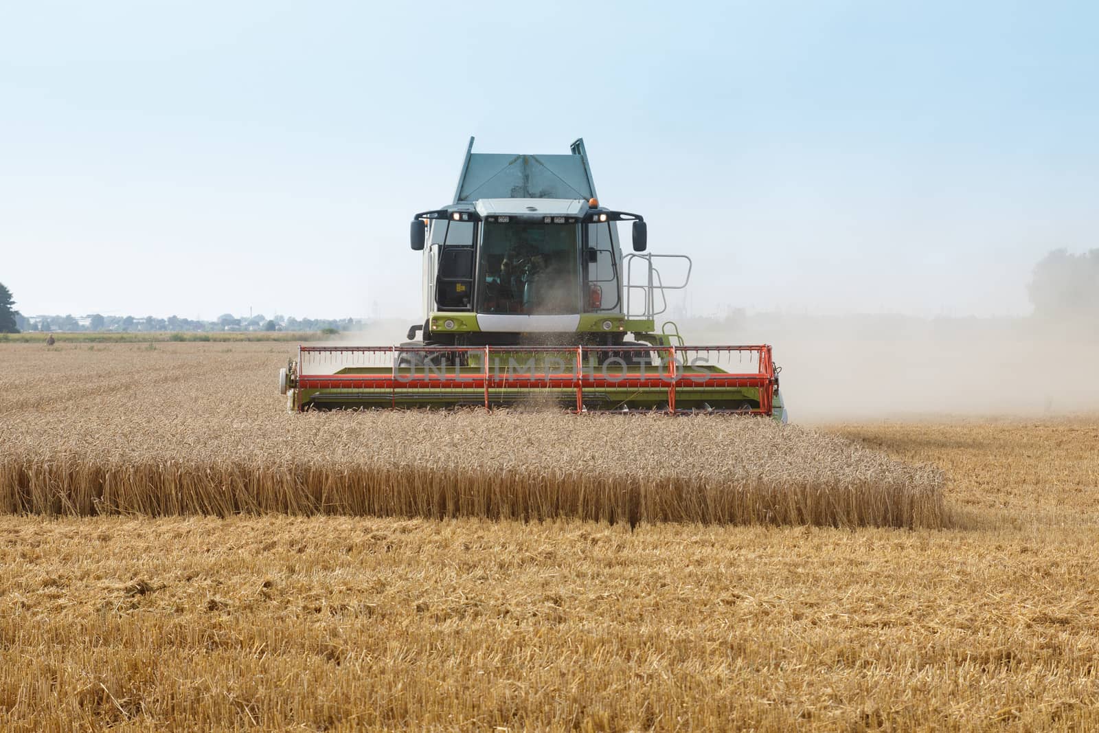 harvesting combine in the wheat field