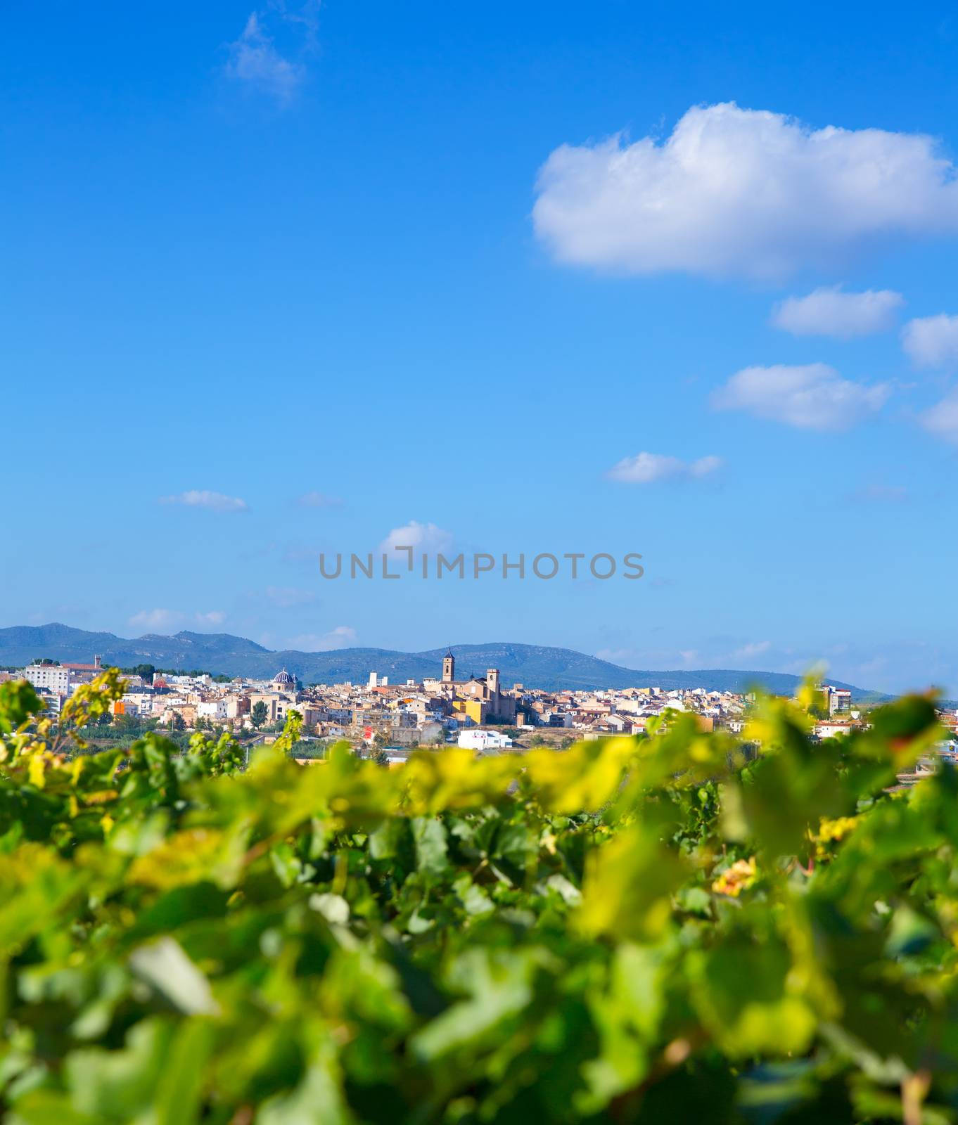 Requena in Valencia province a wine region of Spain by lunamarina