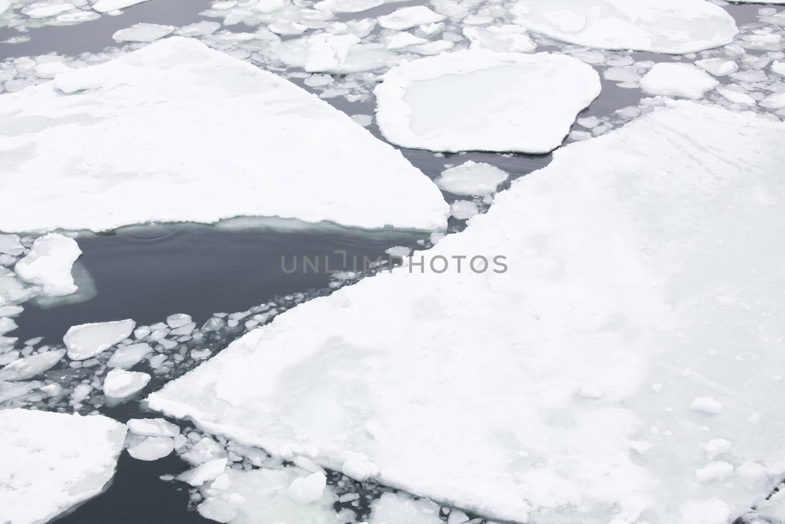 Ice floating on the sea by juhku