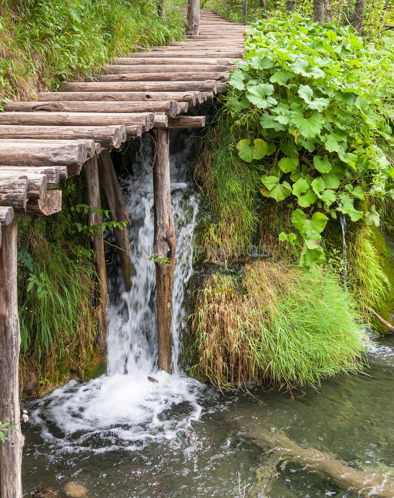 Waterfall under wooden path in Plitvice Lakes National Park
