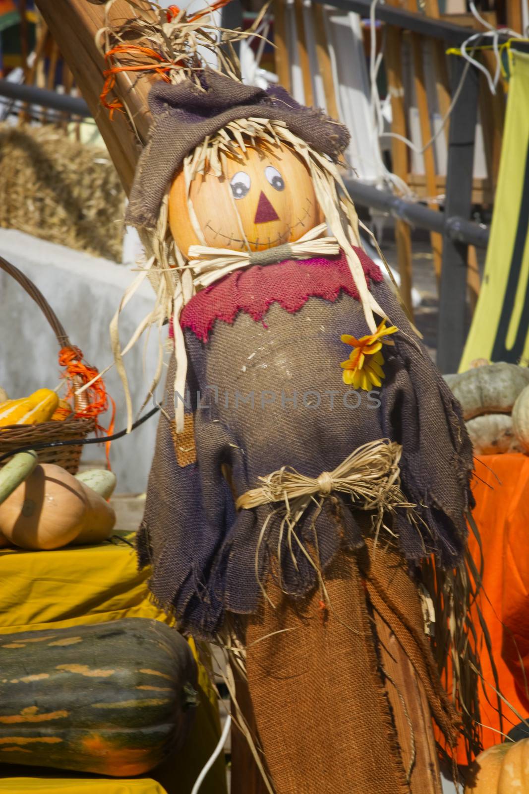 Scarecrow in autumn