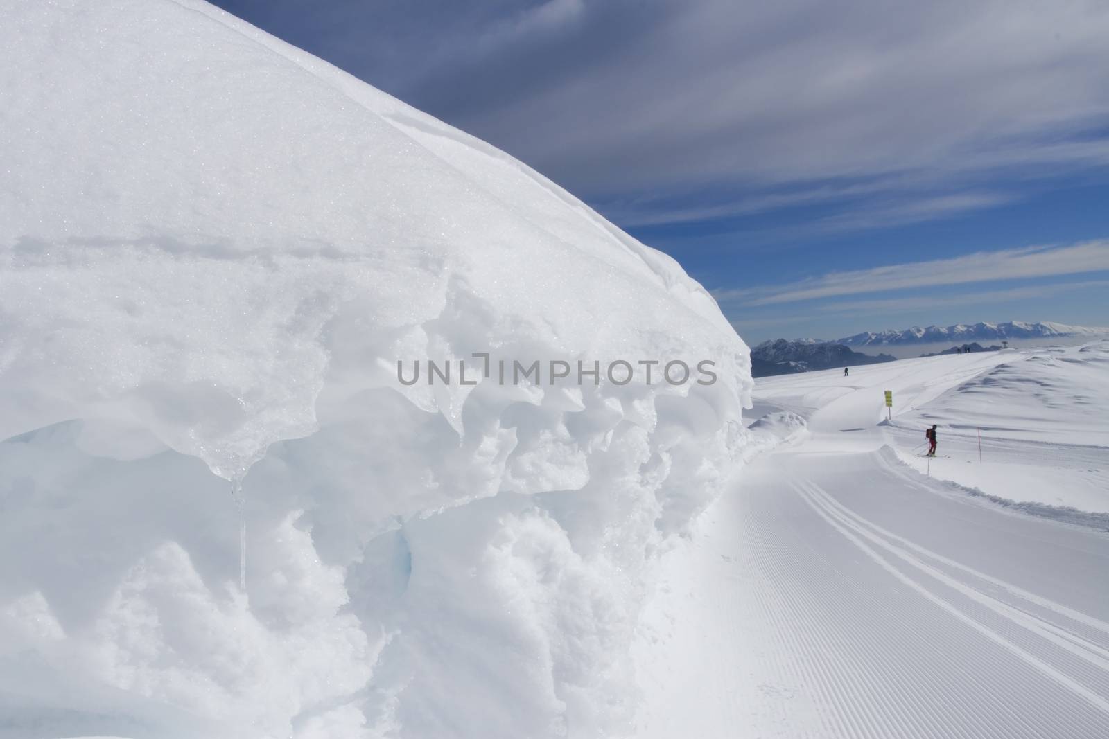 Snowy landscape