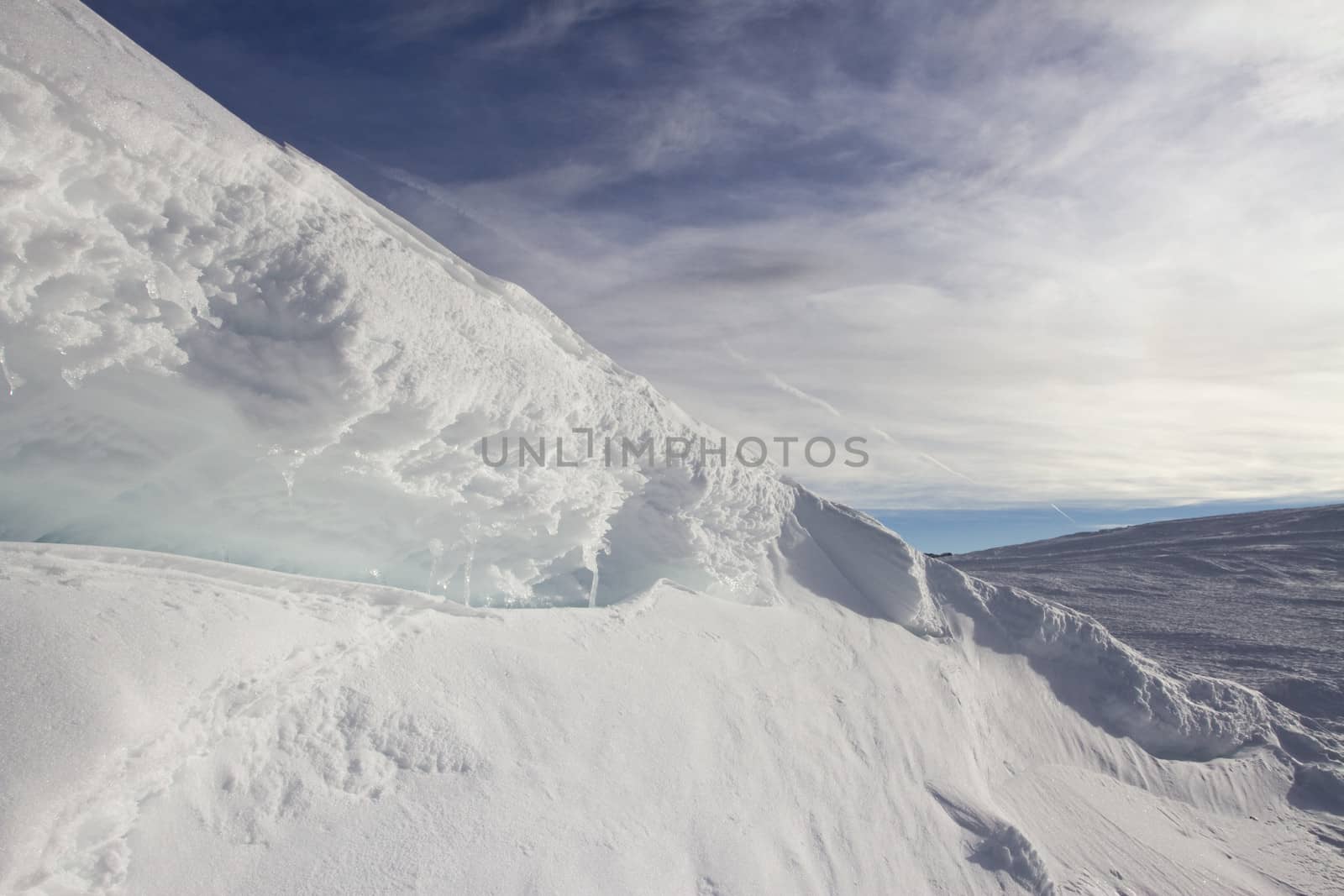 Winter landscape