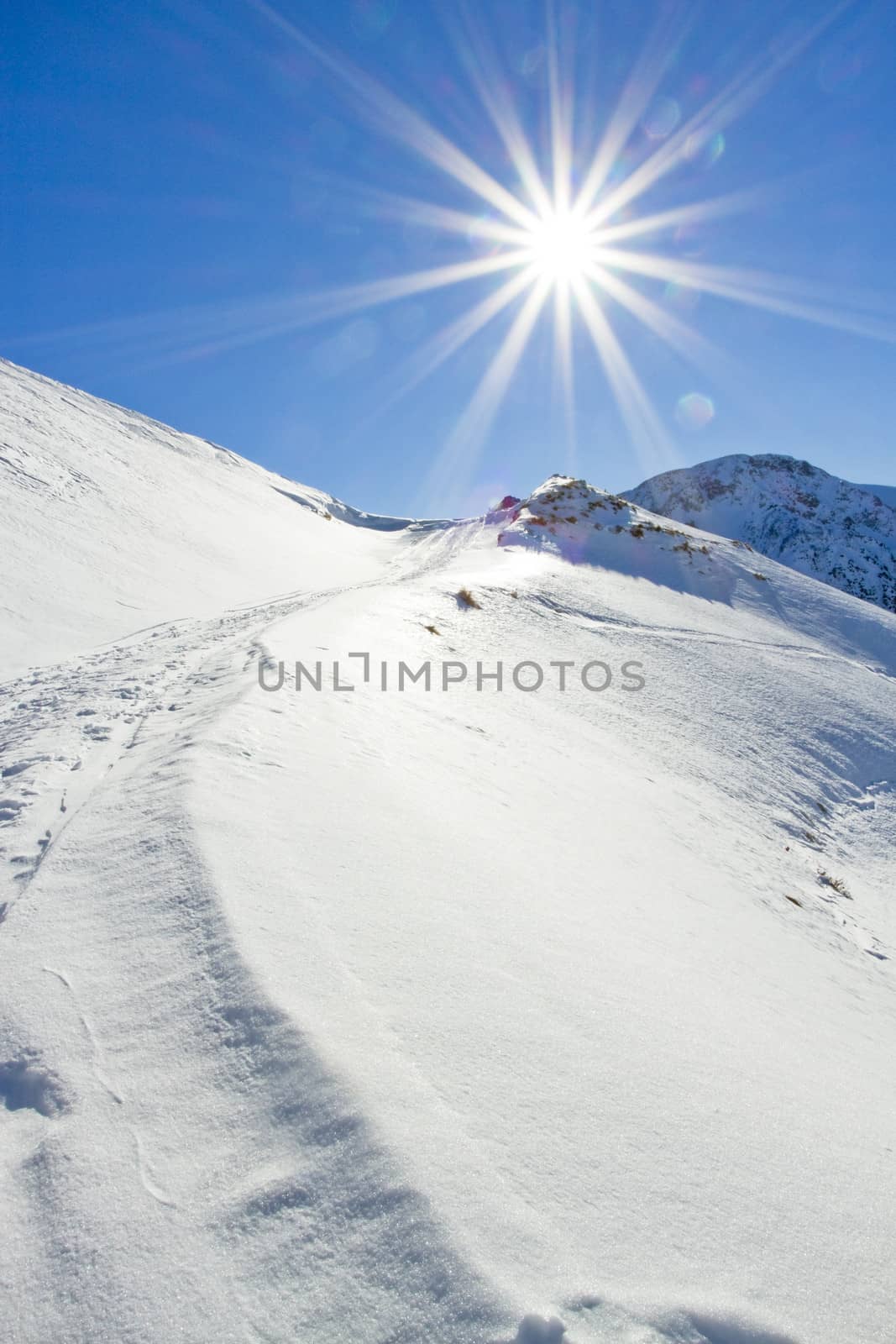 Winter landscape