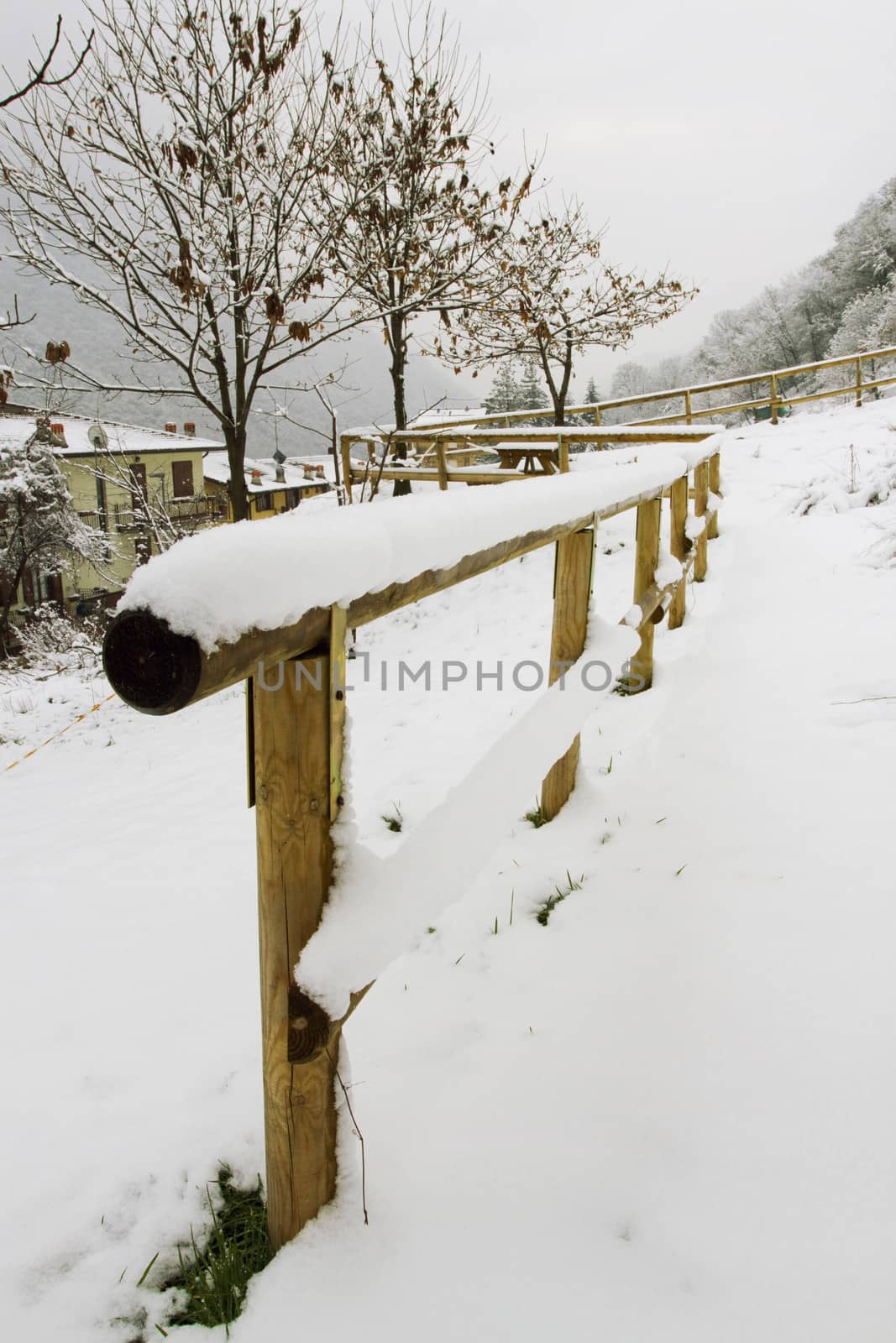 winter landscape