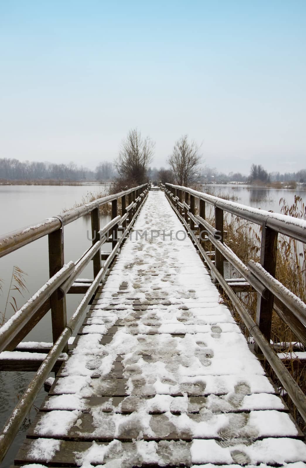 wooden walkway in winter