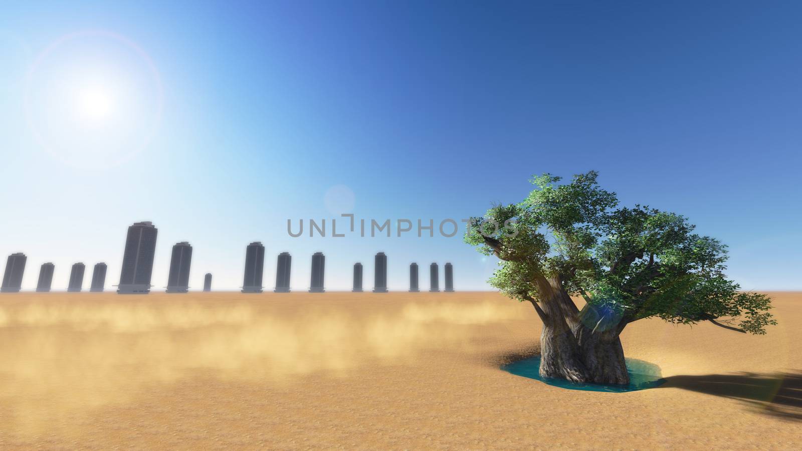 Trees in the desert. by apichart