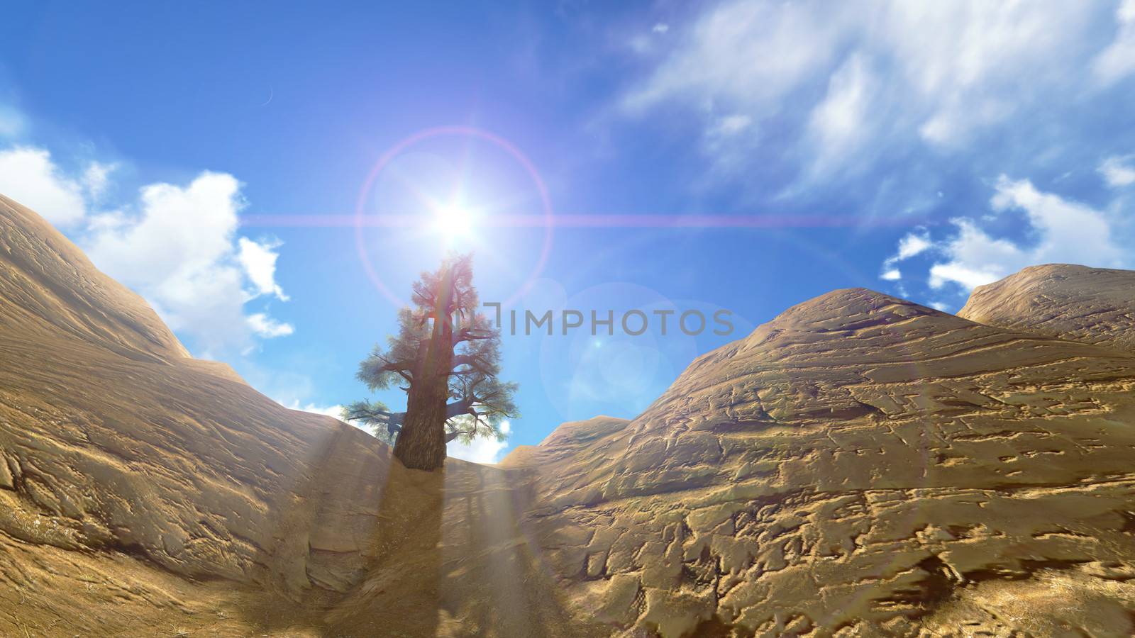 A tree at Grand canyon national park on the blue sky by apichart