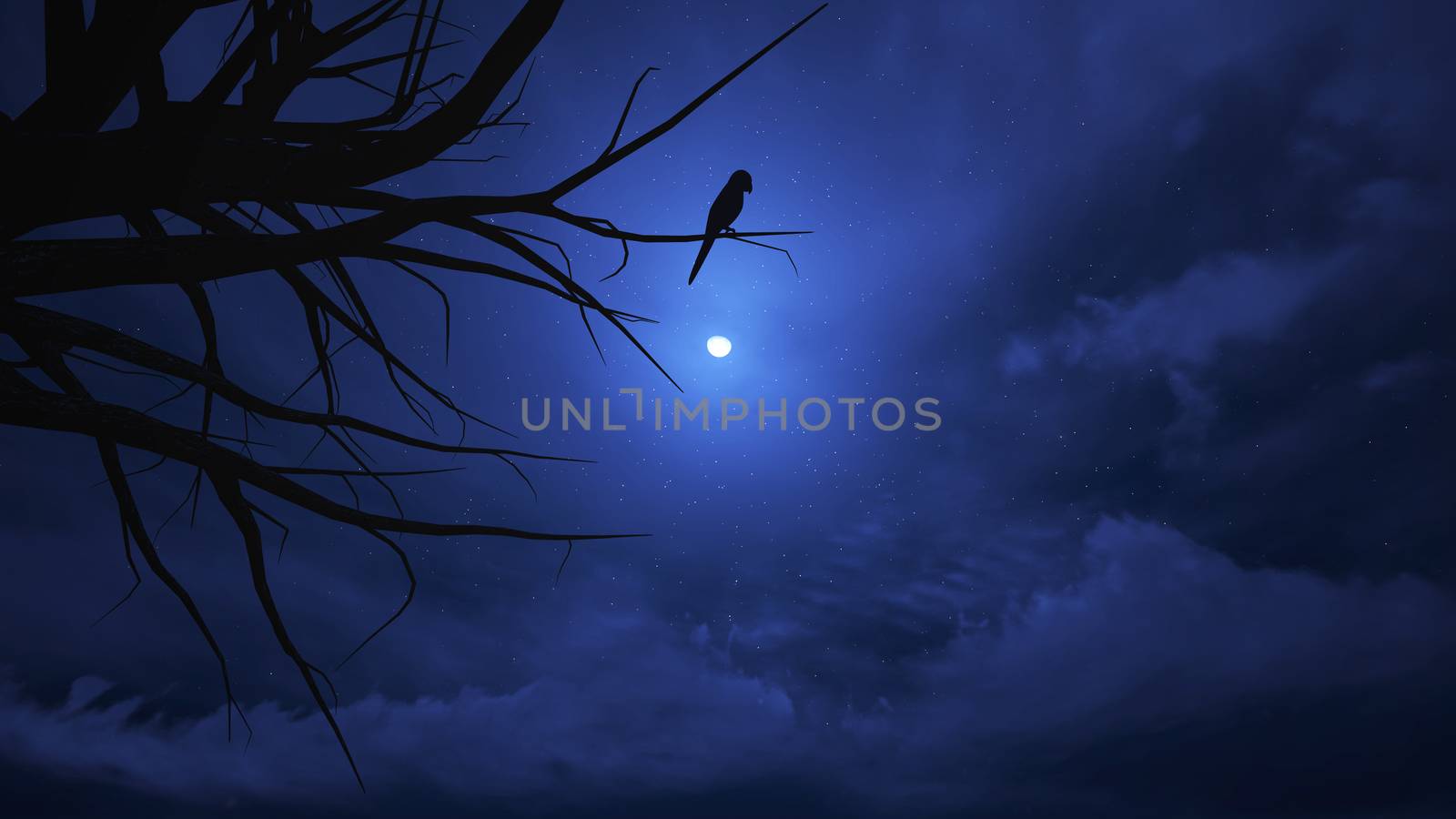 Night sky on Halloween. by apichart