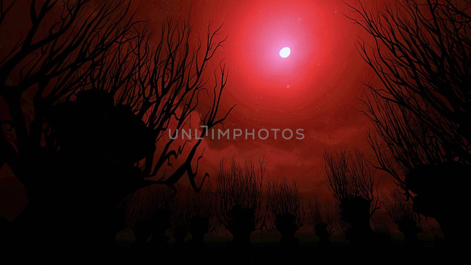 Red night sky on Halloween. by apichart