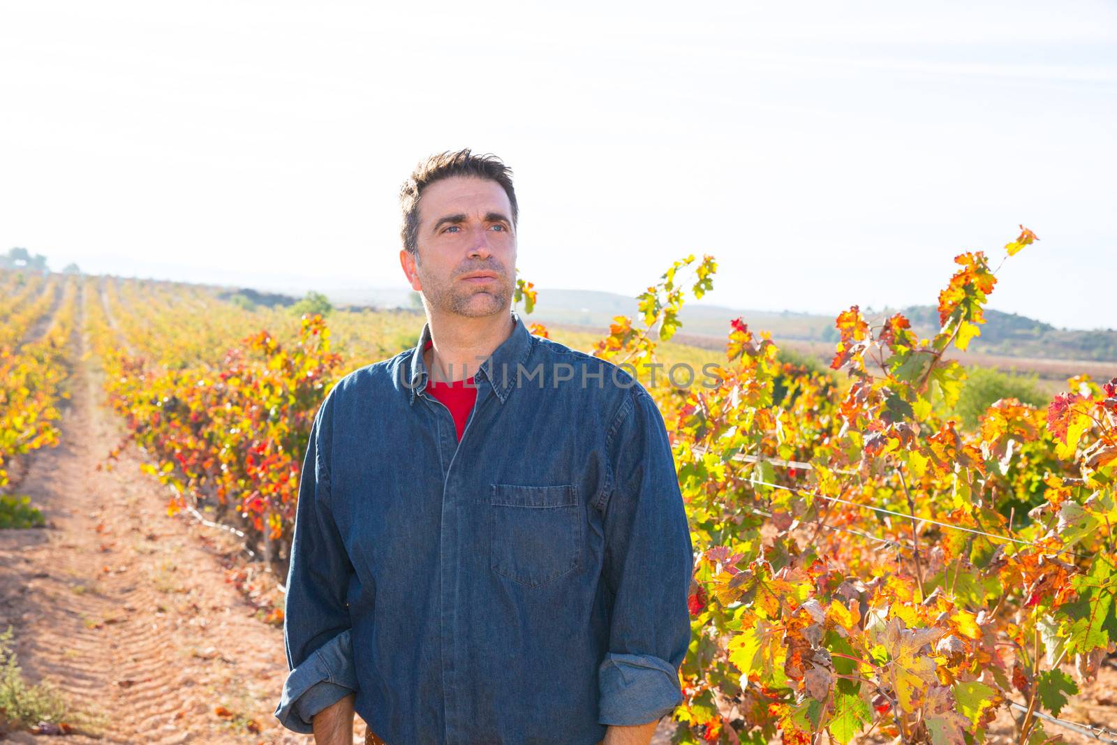 Mediterranean vineyard farmer relaxed looking wines by lunamarina
