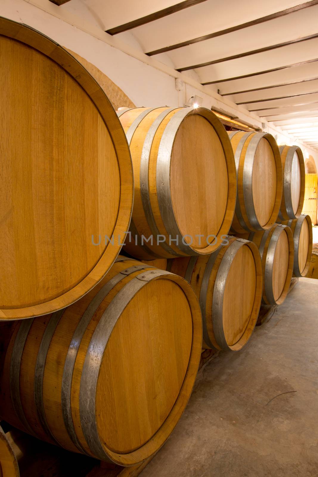 wine wooden oak barrels stacked in a row at winery by lunamarina