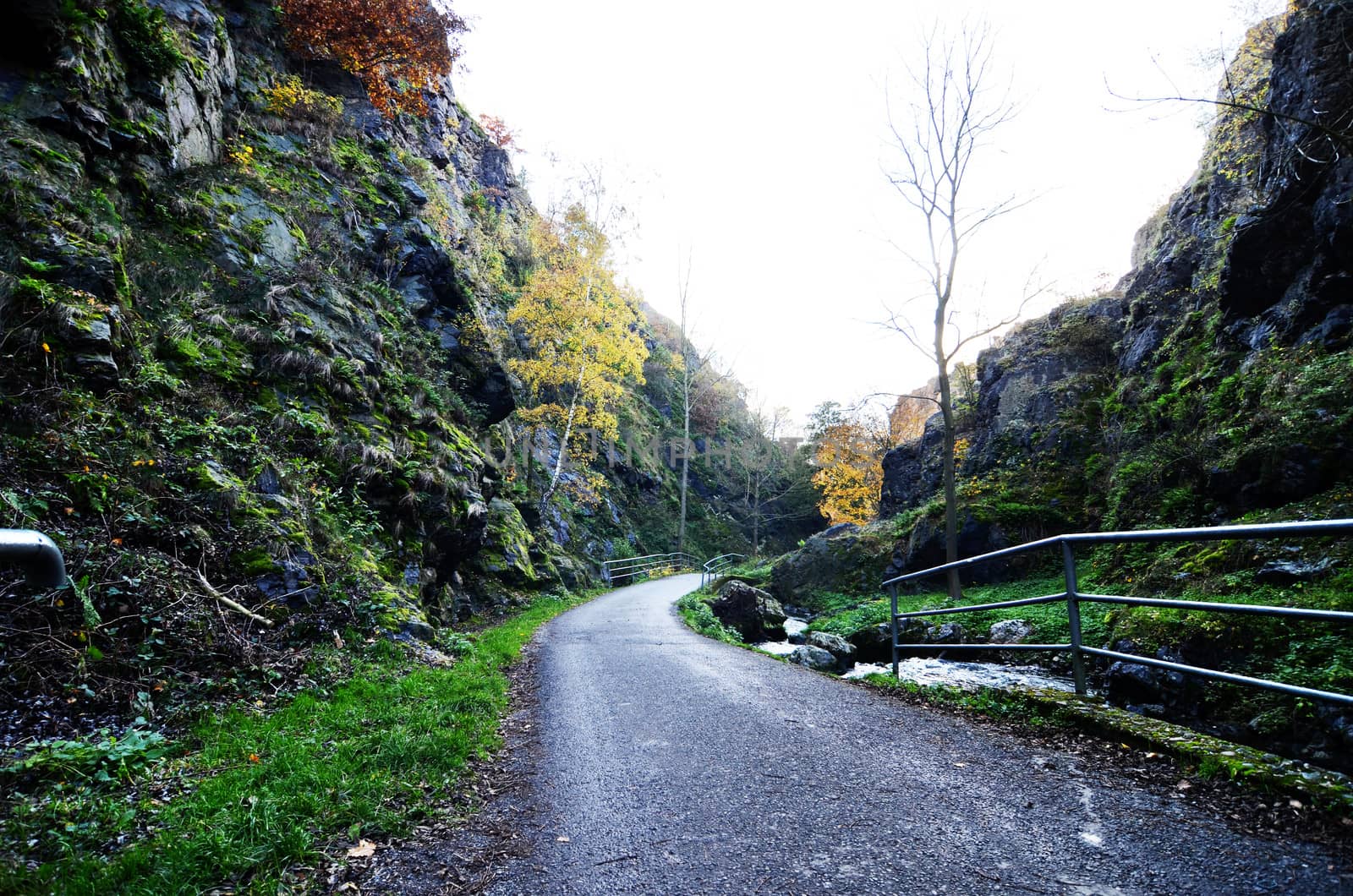 Wild Sarka, Prague
