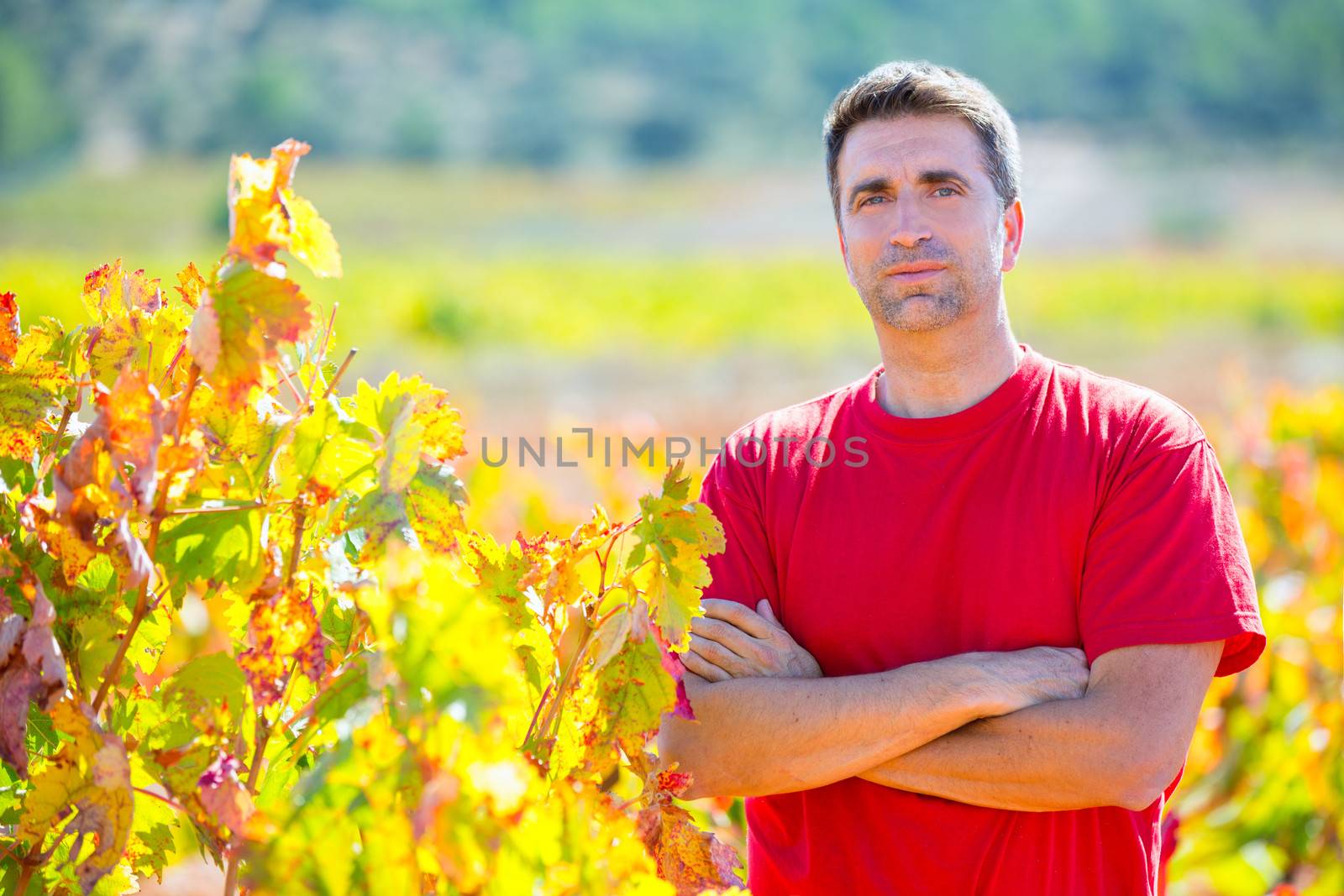 Harvester winemaker farmer proud of his vineyard by lunamarina